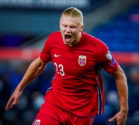 世界杯克罗地亚哈兰德焦点对决最新更新